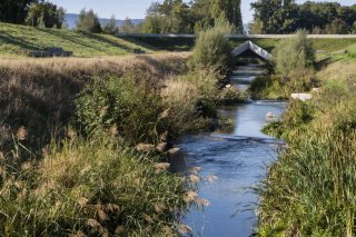 Il est prouvé que les mesures de renaturation des rivières comme pour l'Aire (GE) améliorent la qualité des eaux pour les poissons (archives). KEYSTONE/MARTIAL TREZZINI
